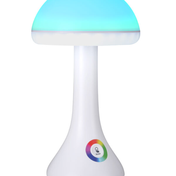 Mushroom lamp (1)