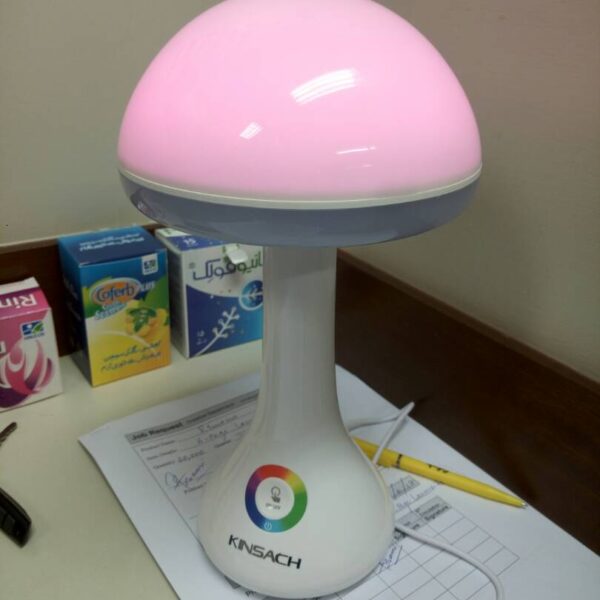 Mushroom lamp (2)