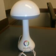 Mushroom lamp (3)