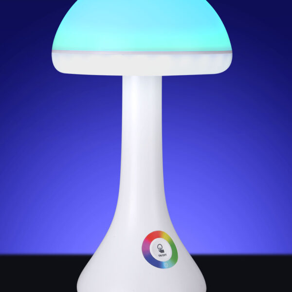 Mushroom lamp (5)