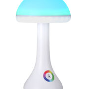 Mushroom lamp (6)